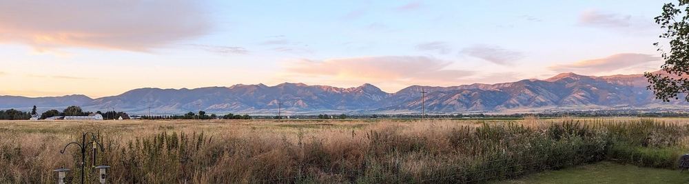 Panoramic view across tall grass and open fields to the Bridger Mountains at sunset